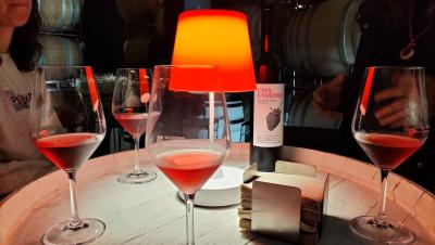 Wine bar & Terraza en Bodegas Máximo Abete